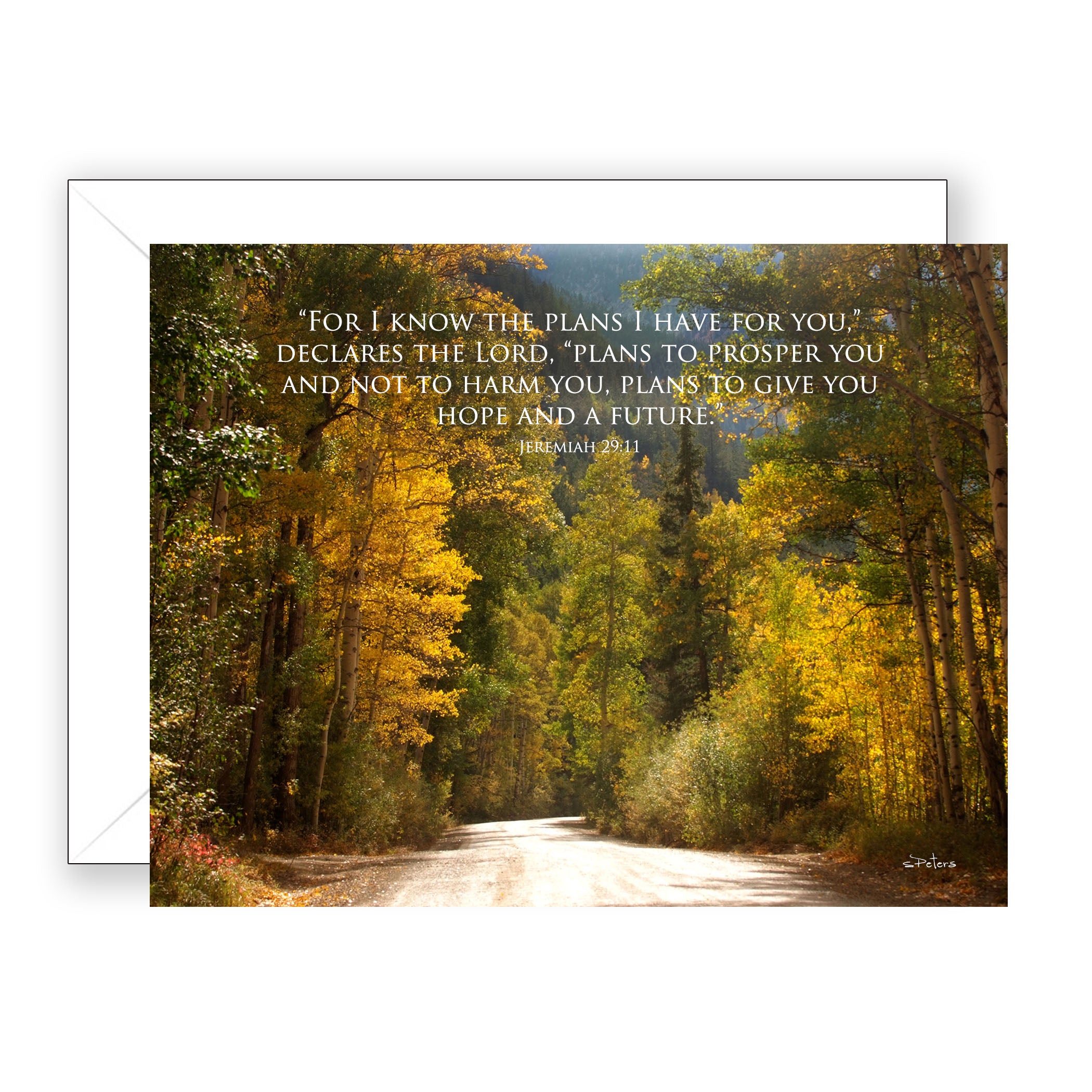 Autumn Afternoon (Jeremiah 29:11) - Encouragement Card (Blank)