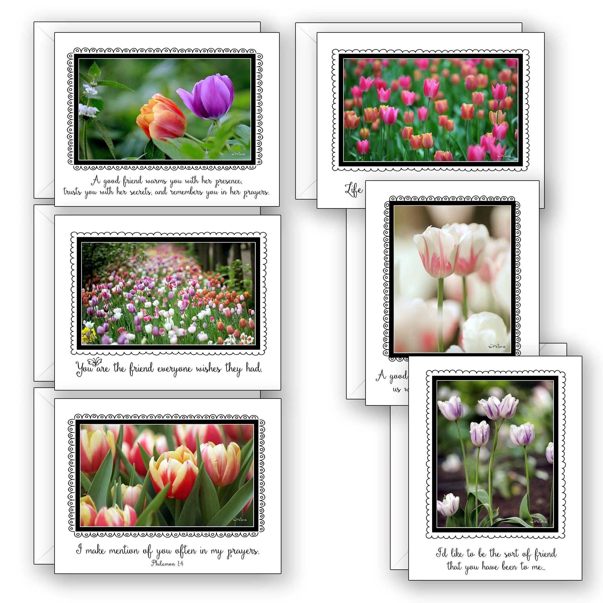Friendship Tulips Boxed Set