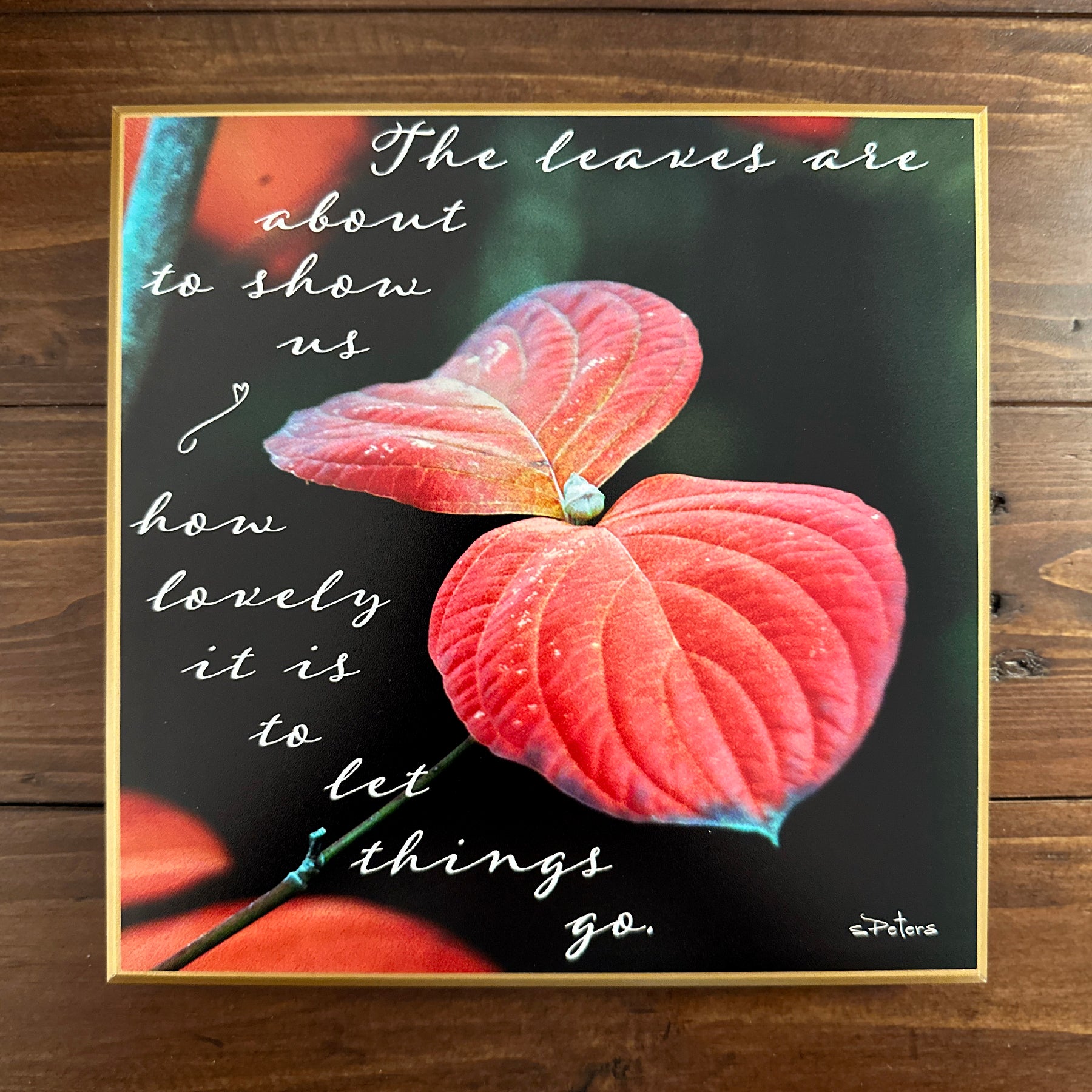 Letting Go - 8x8 Beveled Board