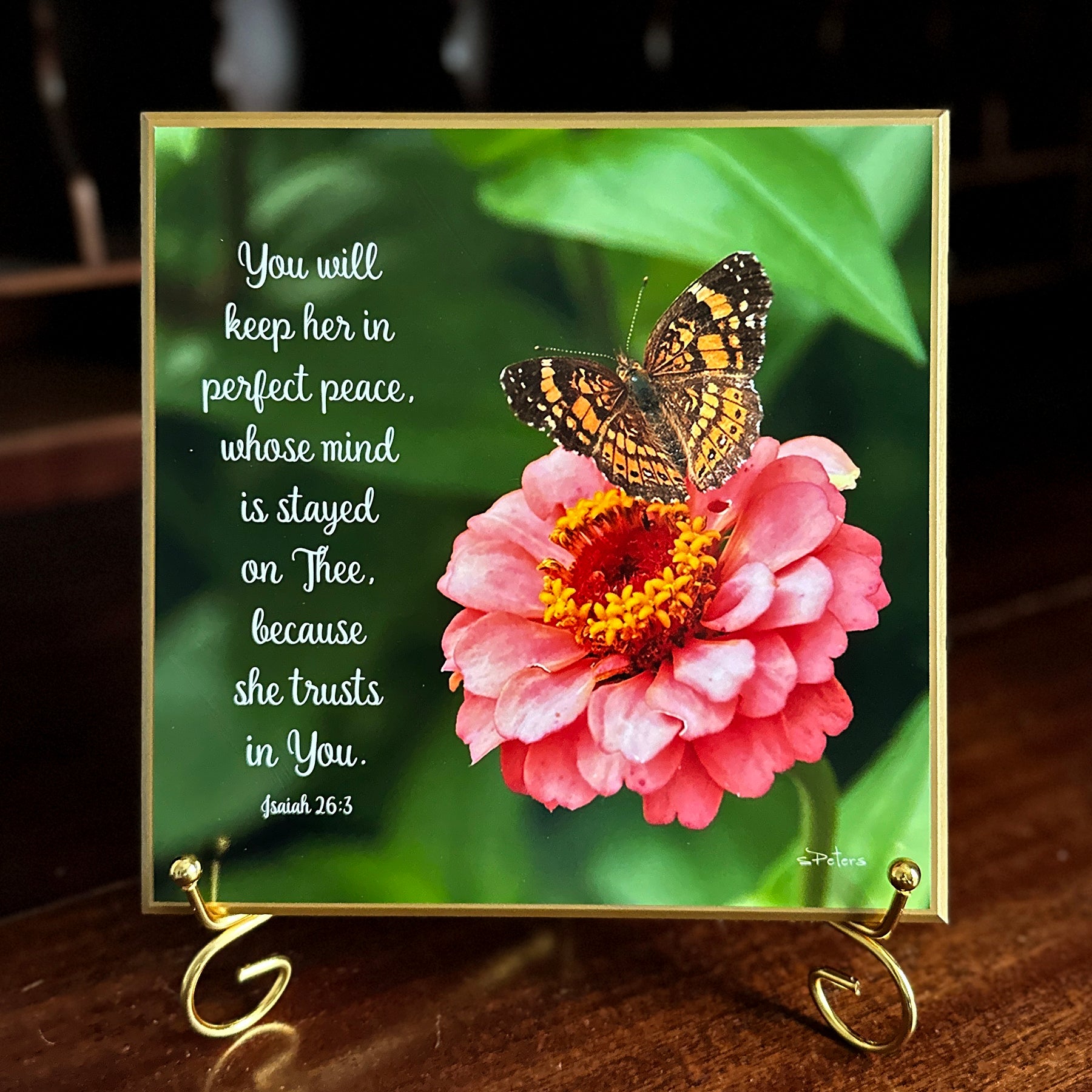 Georgia Butterfly- 8x8 Beveled Board