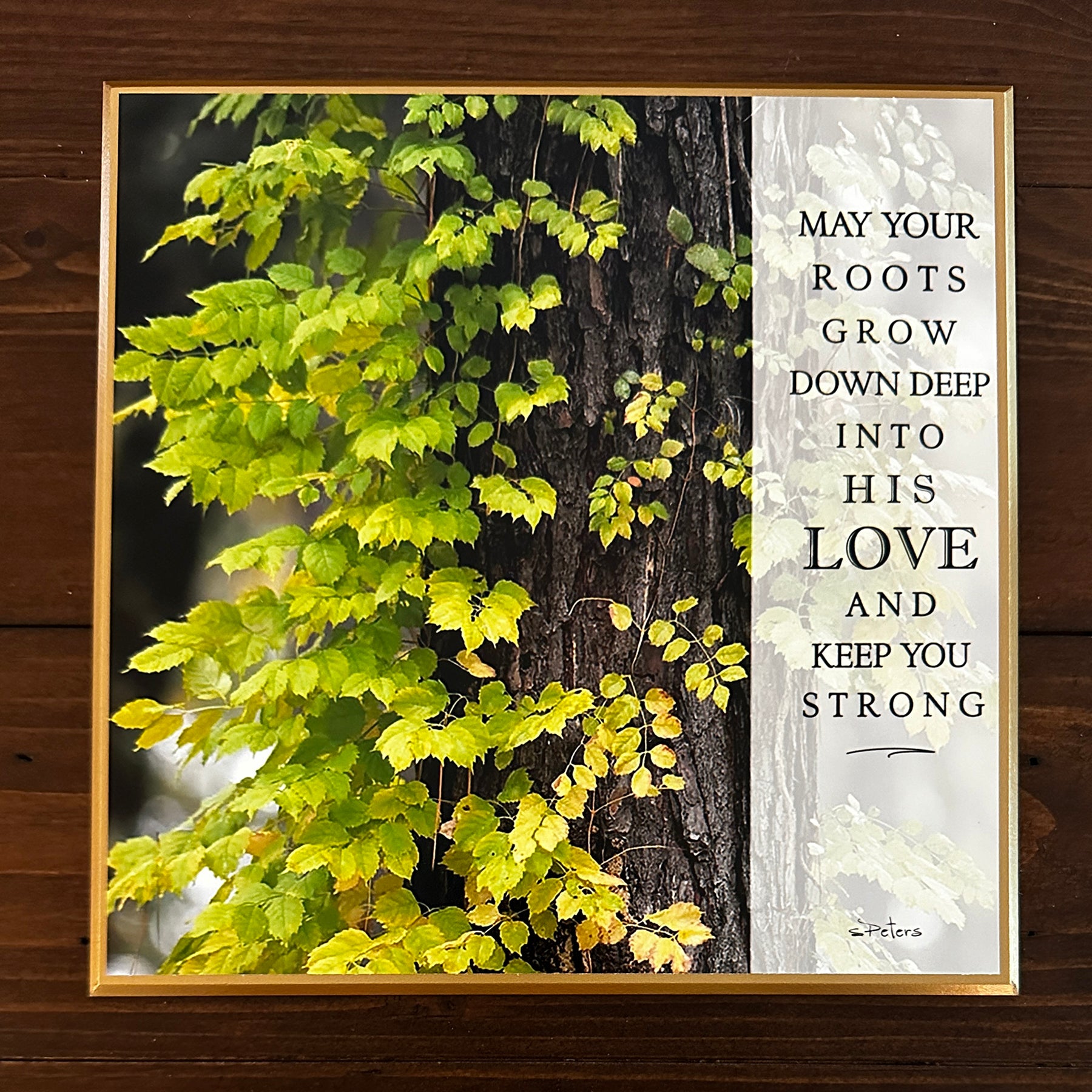 Green Grace - 8x8 Beveled Board