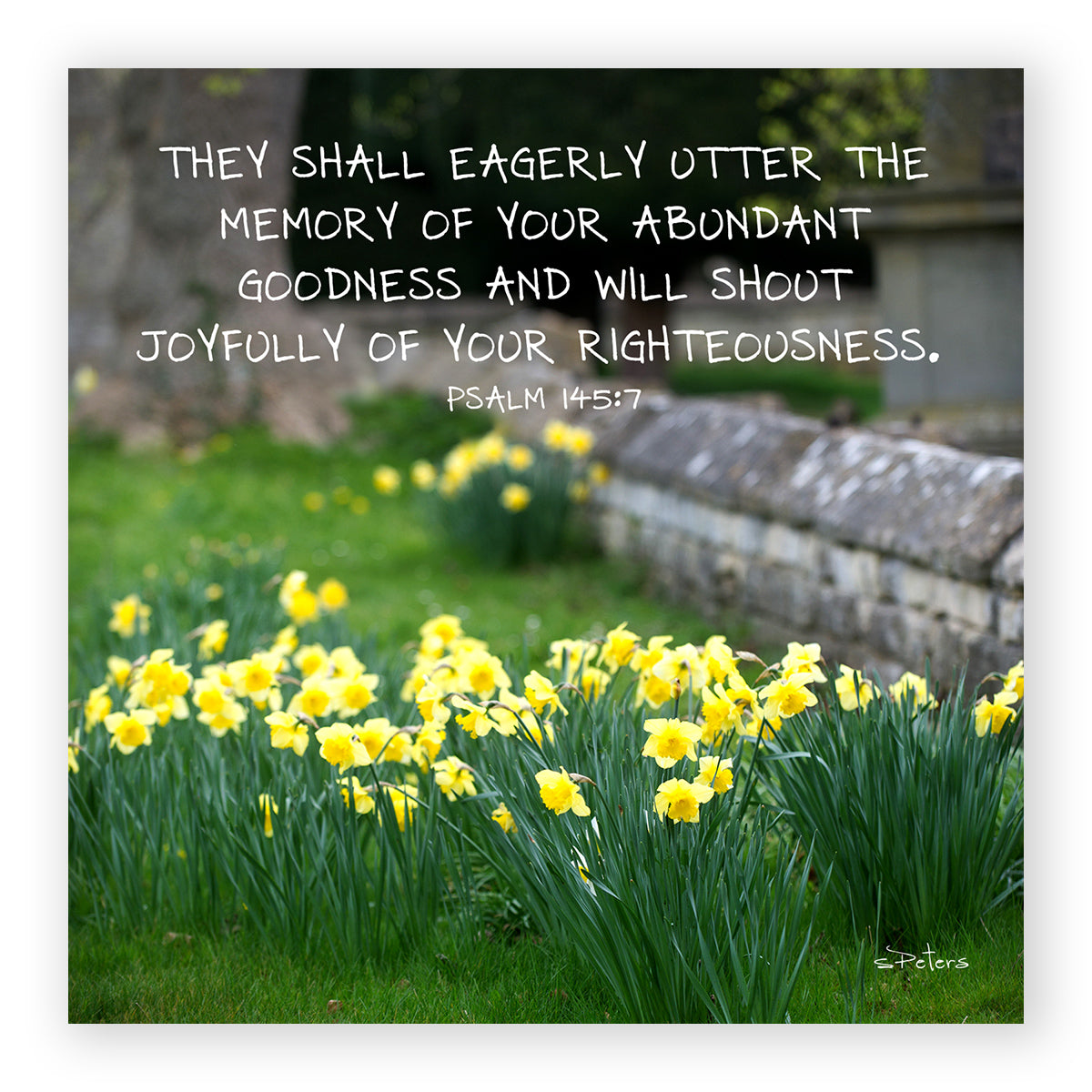 Psalm 145:07 - Joyful Jonquils Frameable Print