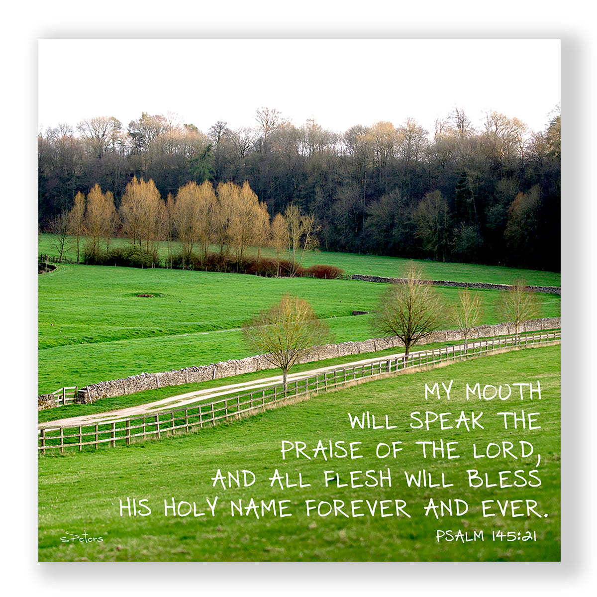 Psalm 145:21 - Beautiful Bibury - Mini Print