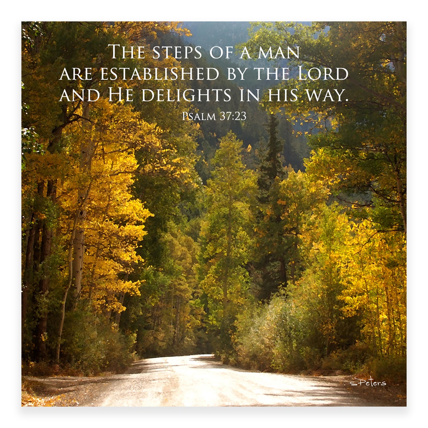 Autumn Afternoon (Psalm 37:23) - Frameable Print
