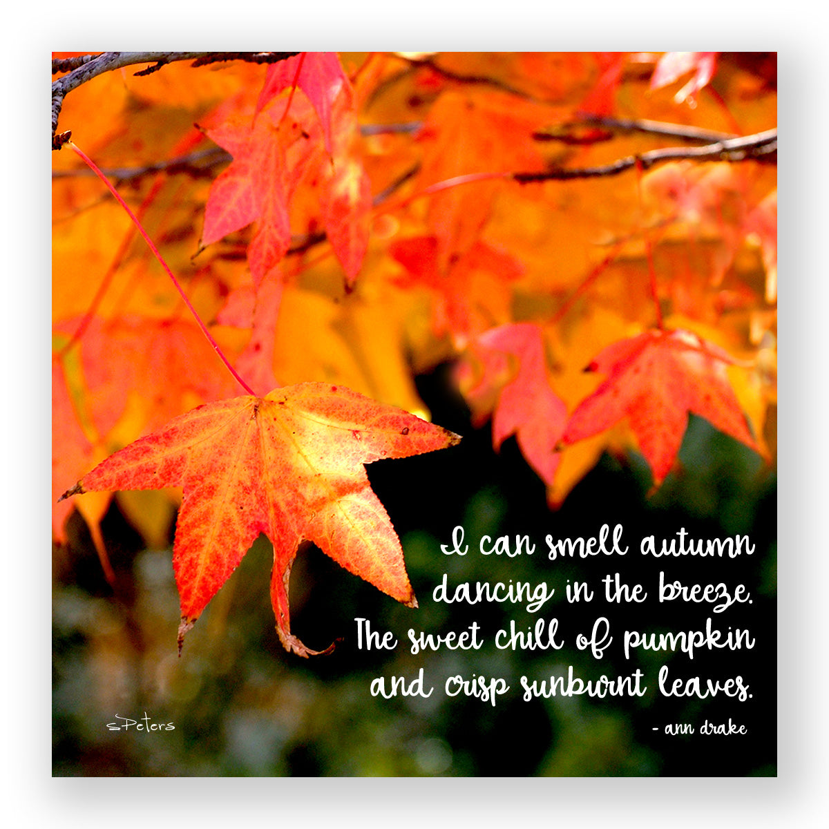 Autumn Dance - Frameable Print