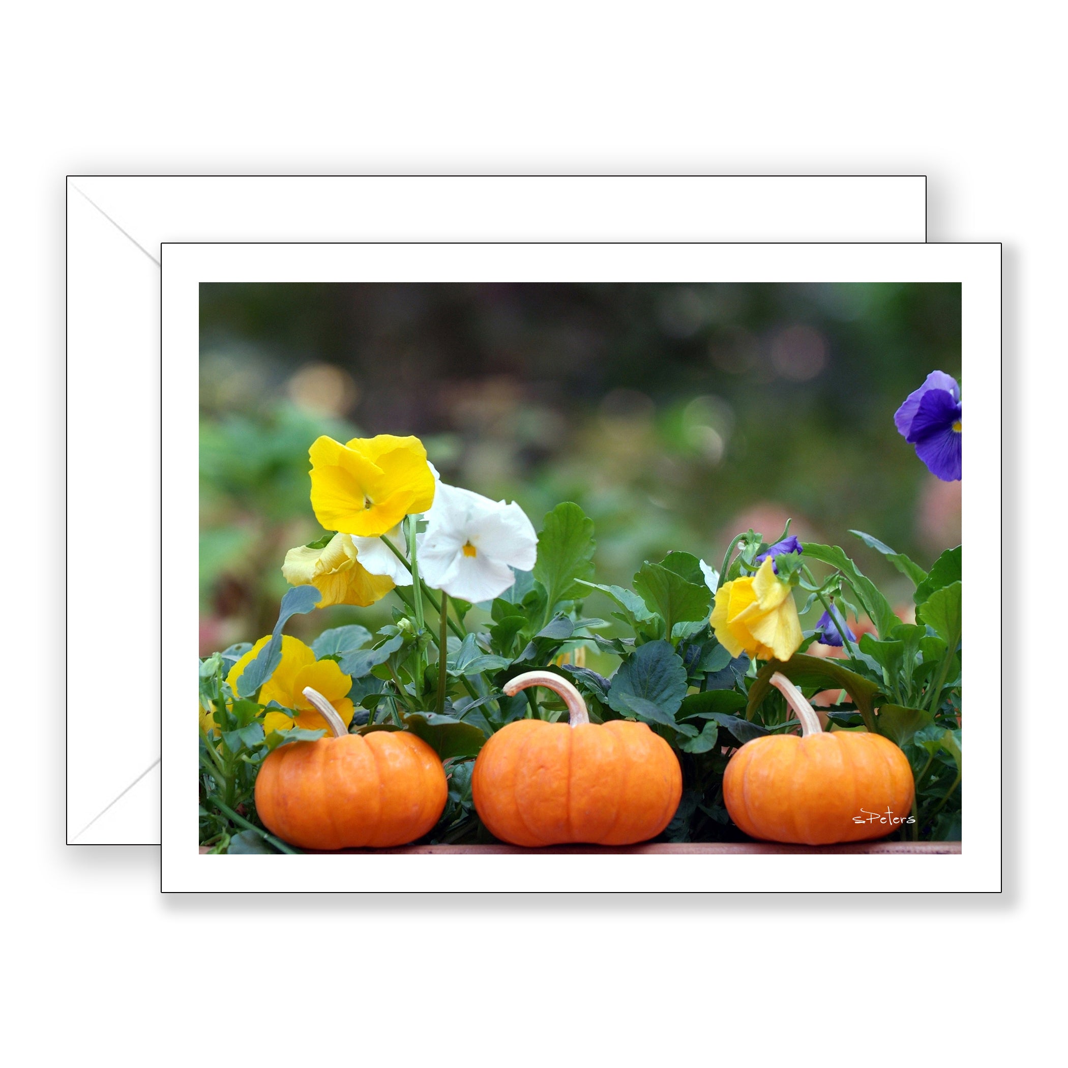 Baby Pumpkin Trio - Blank Art Card