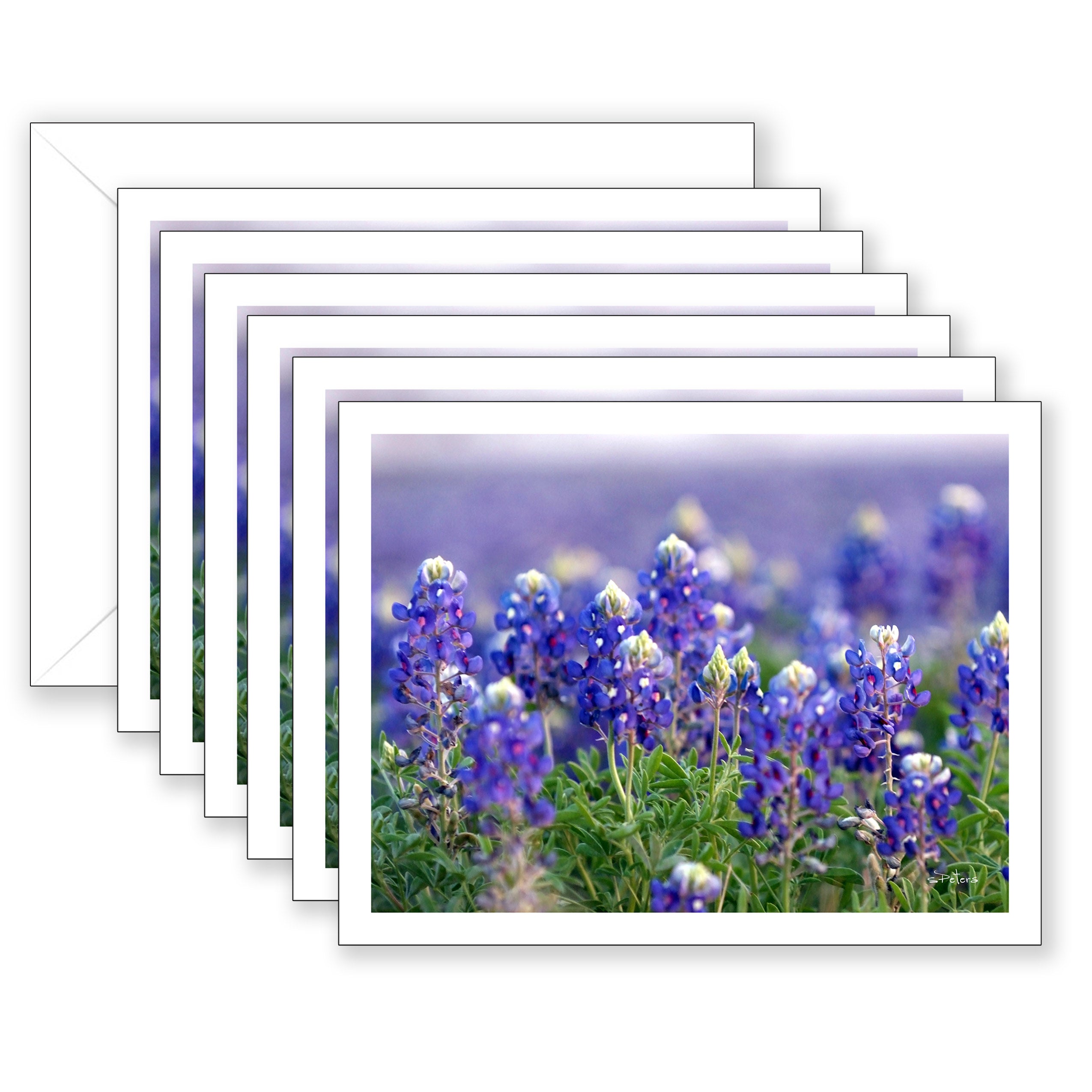 Blue Abundance Boxed Notecard Collection