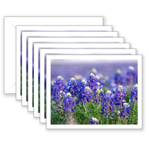 Blue Abundance Boxed Notecard Collection