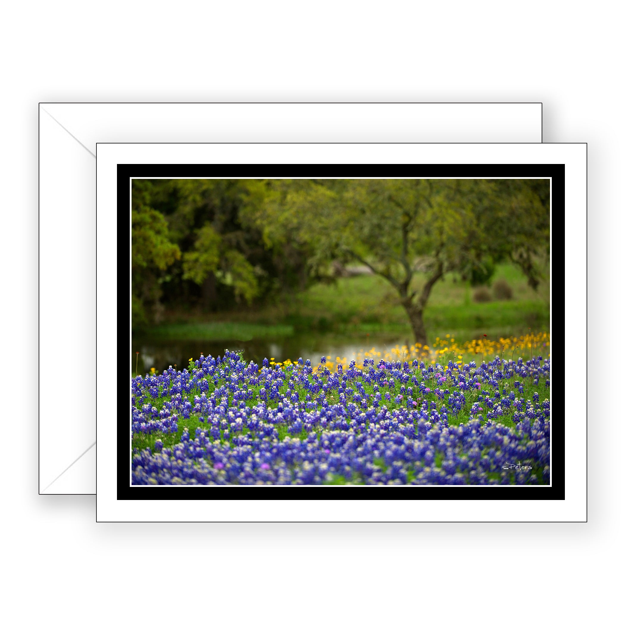 Bluebonnet Byway - Blank Art Card