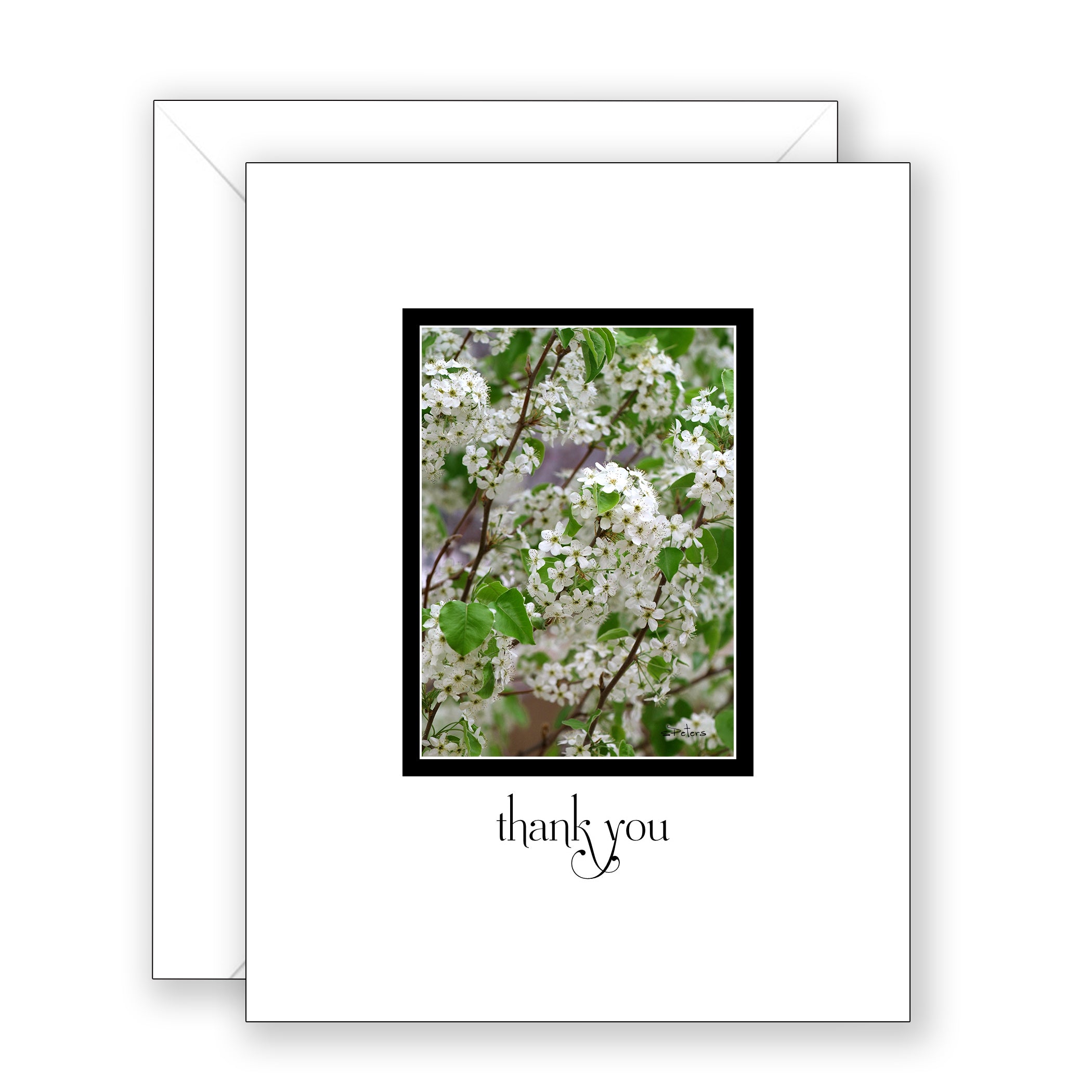 Bradbury Bradford Pear - Thank You Card