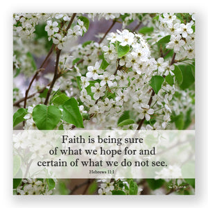 Bradbury Bradford Pear (Hebrews 11:1) - Frameable Print