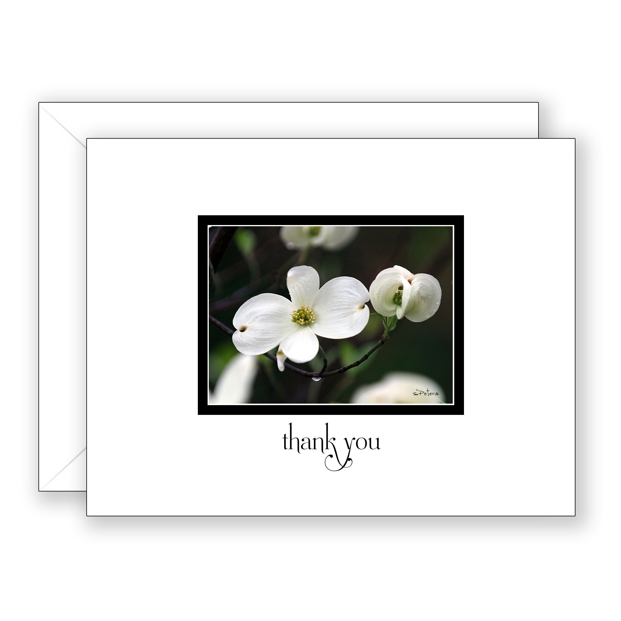 Delightful Dogwood - Thank You Card