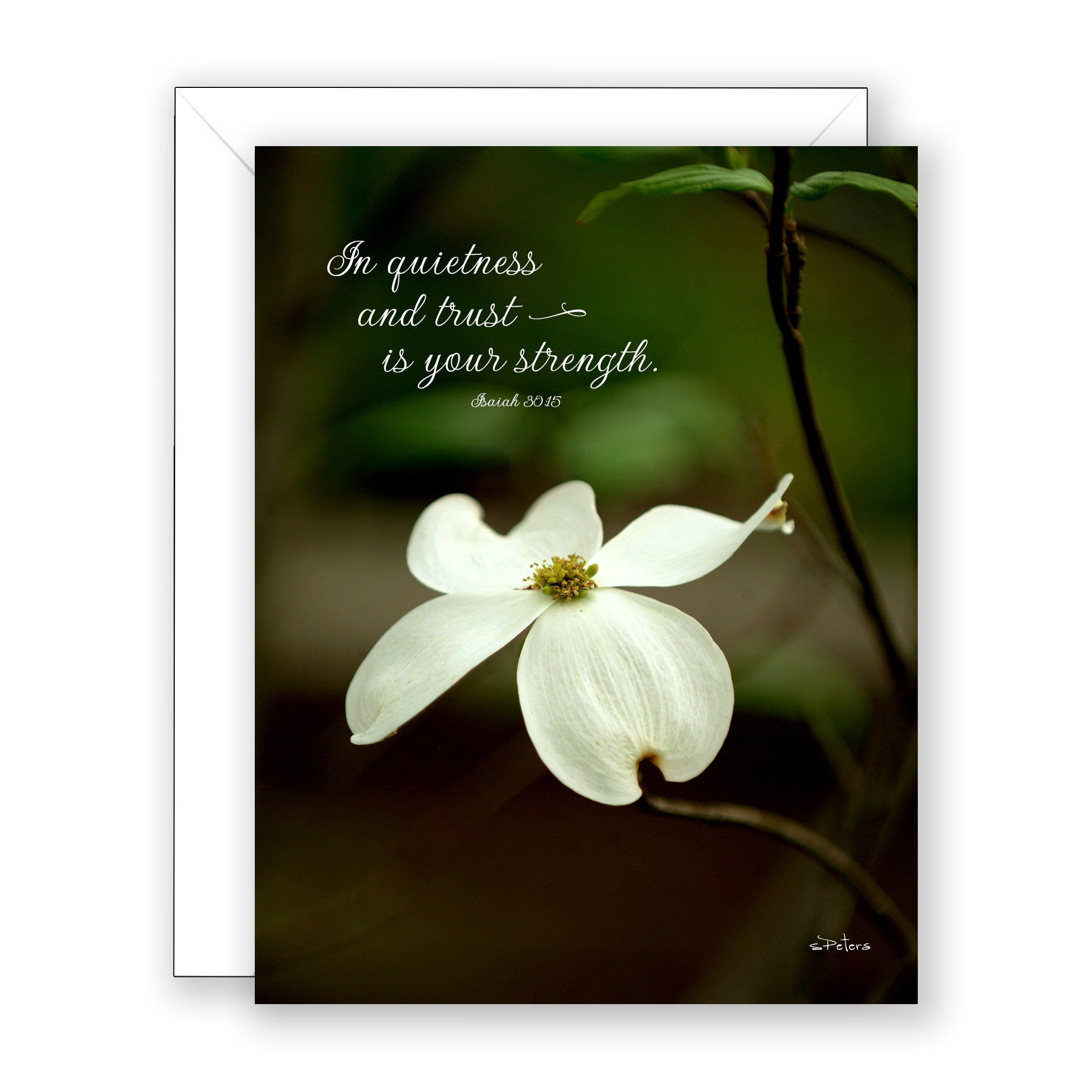 Dogwood (Isaiah 30:15) - Encouragement Card (Blank)