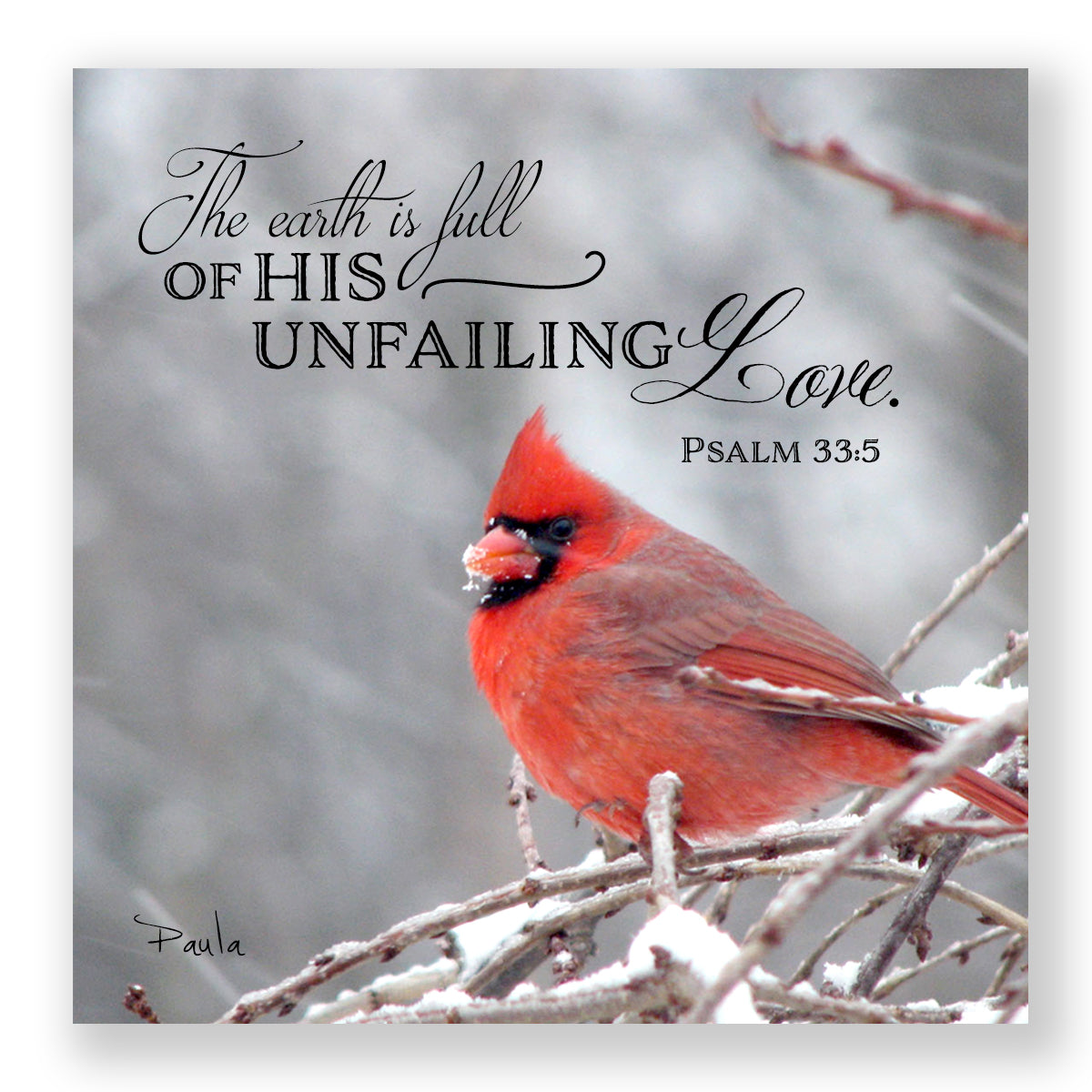 Paula's Redbird (Psalm33:5) - Mini Print