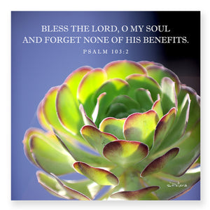 Psalm 103:02 - Perfect Petals Frameable Print