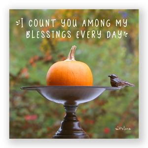 Pumpkin Birdbath - Mini Print