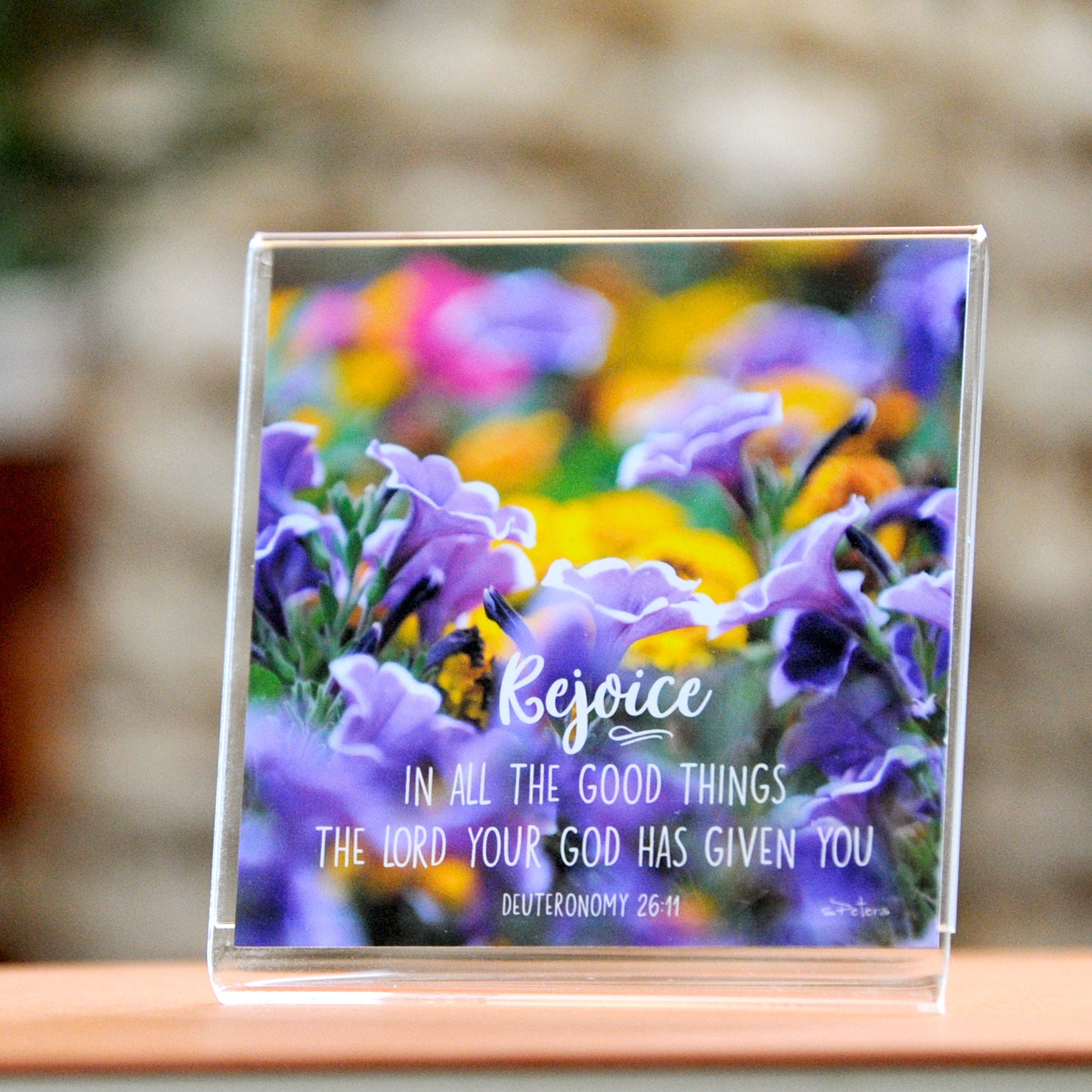 Gilpin Park Petunias (Deuteronomy 26:11) - Framed Mini Print