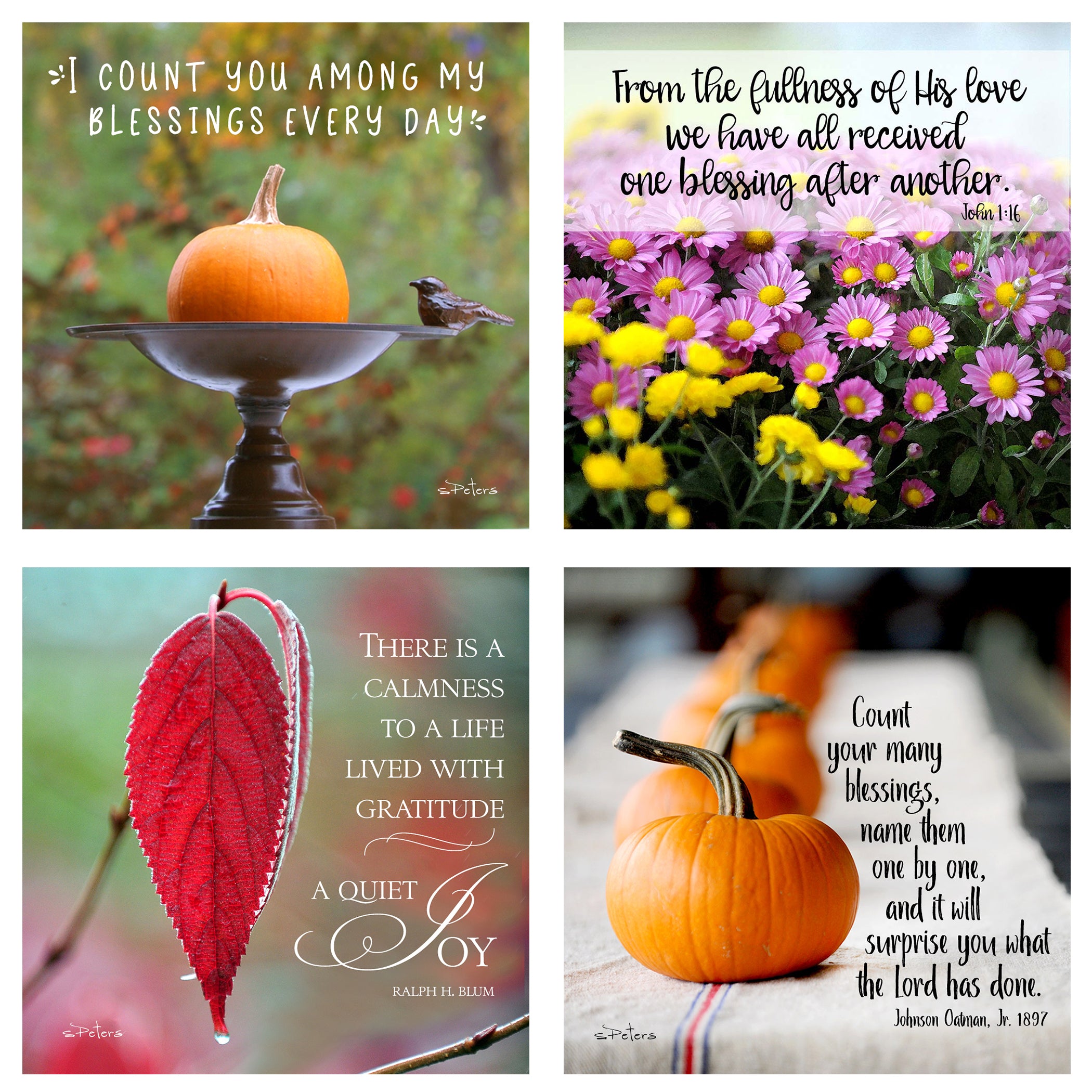 31 Days of Gratitude Boxed Mini Print Collection with Acrylic Holder