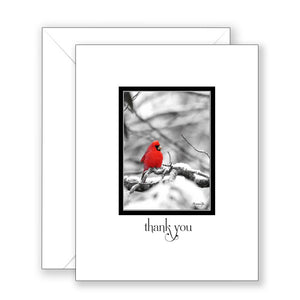 Missy's Red Bird - Thank You Card