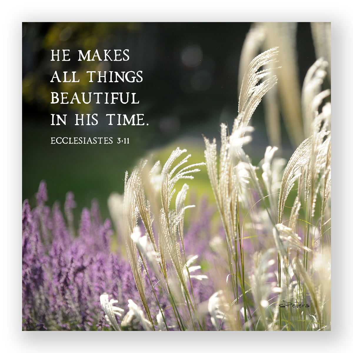 Morning Mercies (Ecclesiastes 3:11) - Mini Print