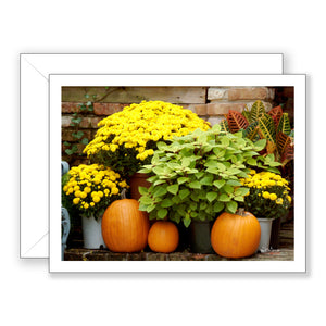 Mums and Pumpkins - Blank Art Card