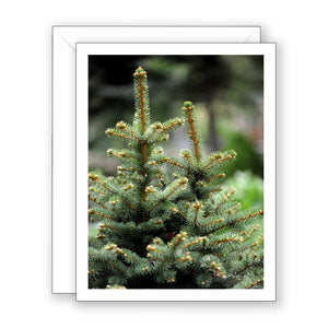 Pair of Pines Blank Notecard