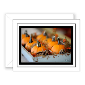 Perfect Pumpkins - Blank Art Card