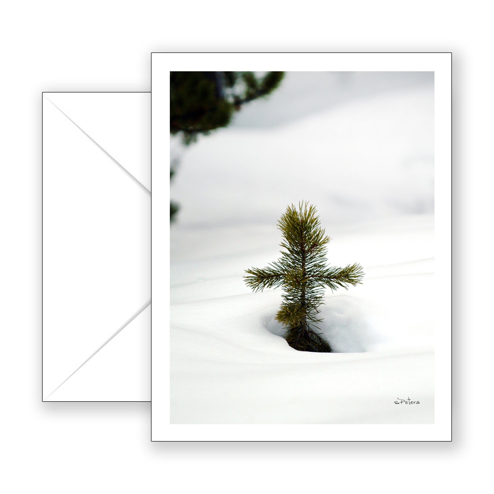Pine Cross - Blank Art Card