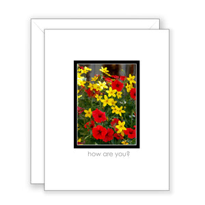 Playful Posies - Get Well Card