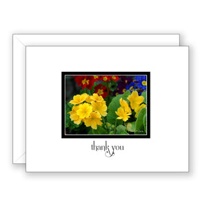 Primrose Party - Thank You Card