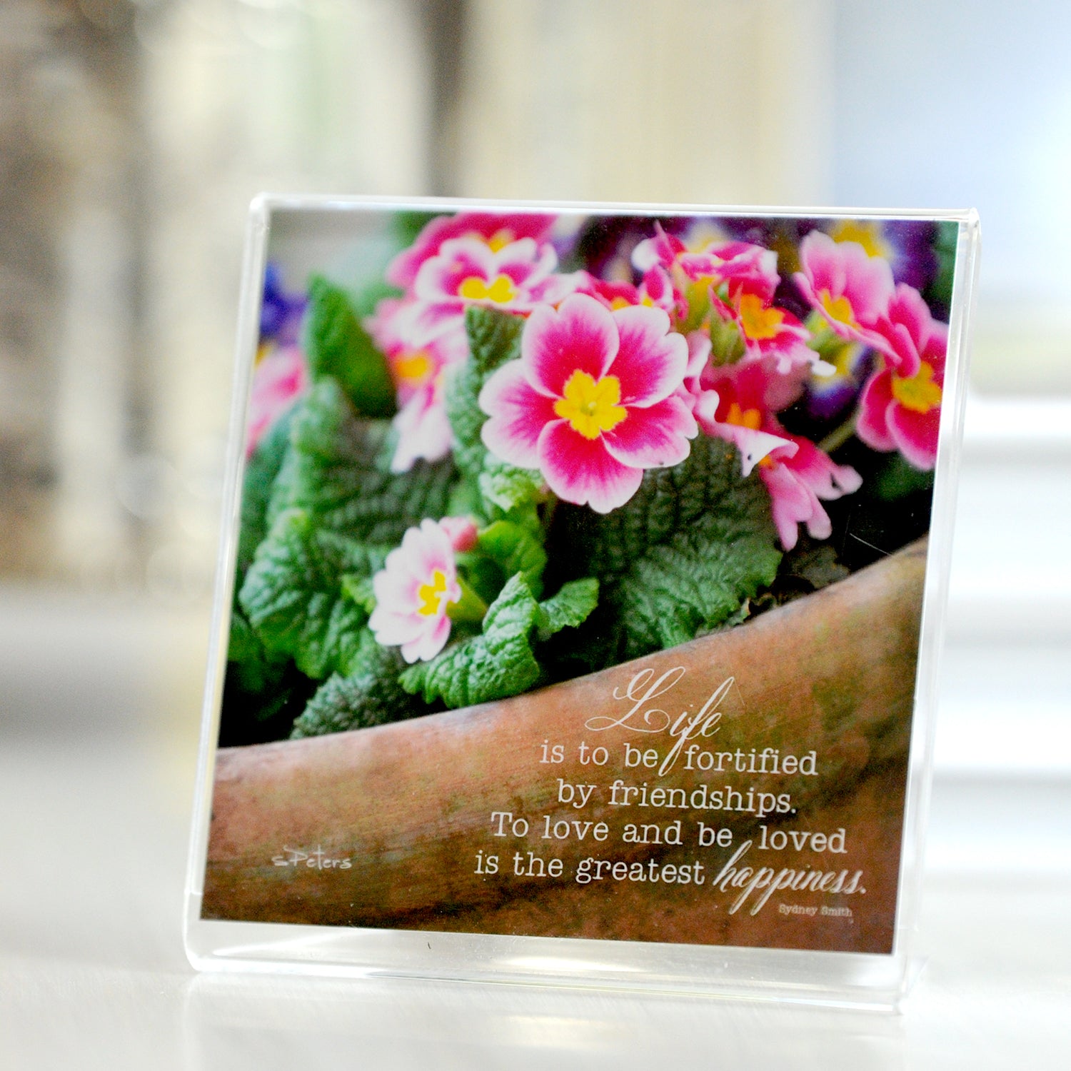 Primrose Pot - Framed Mini Print