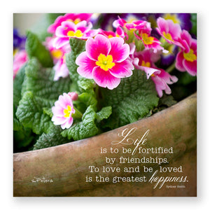 Primrose Pot - Frameable Print