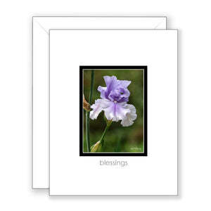 Purple Petticoat - Mother's Day Card
