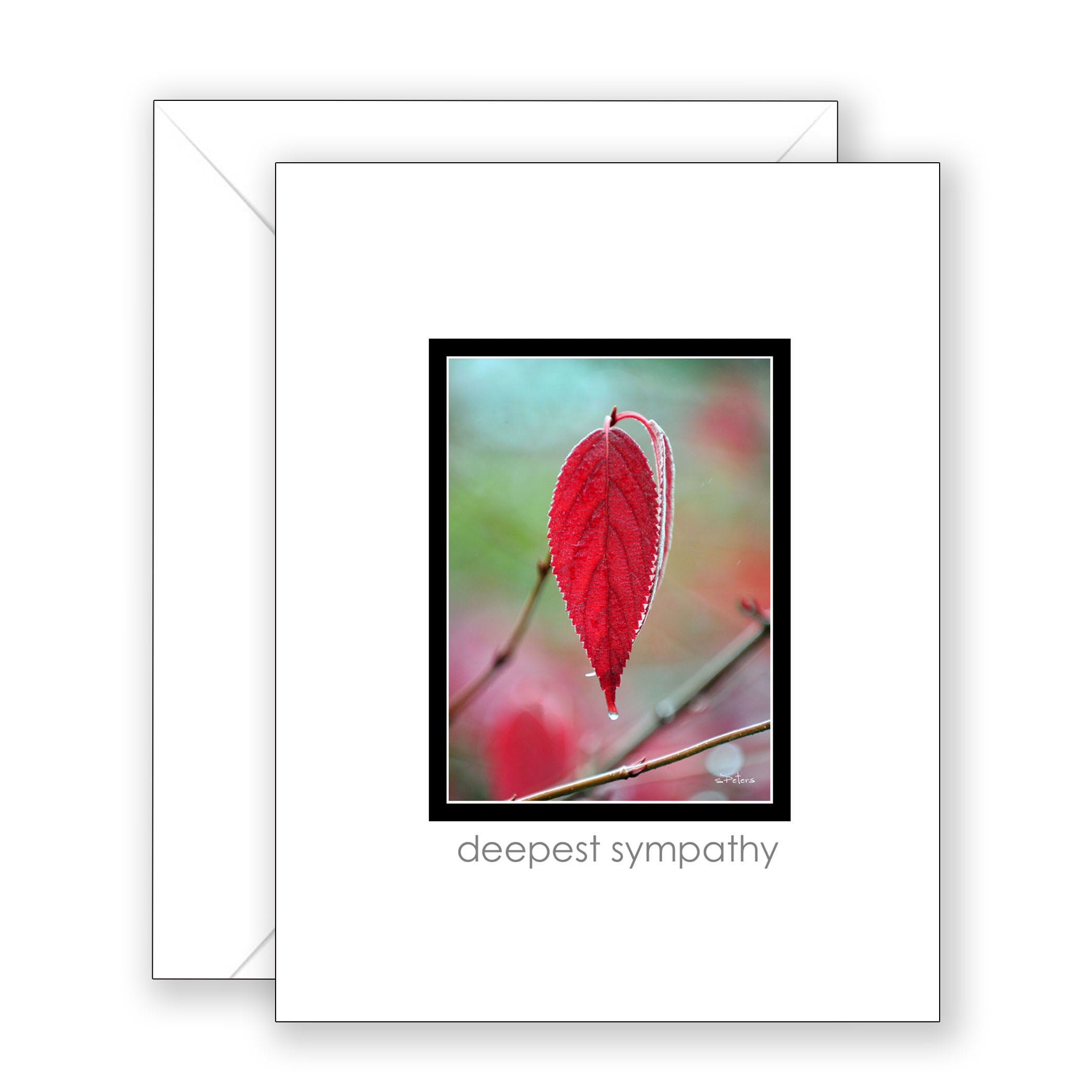 Rain in Maine - Sympathy Card