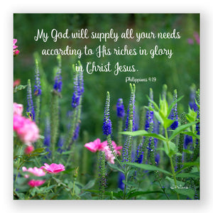 Salvia and Roses (Philippians 4:19) - Frameable Print