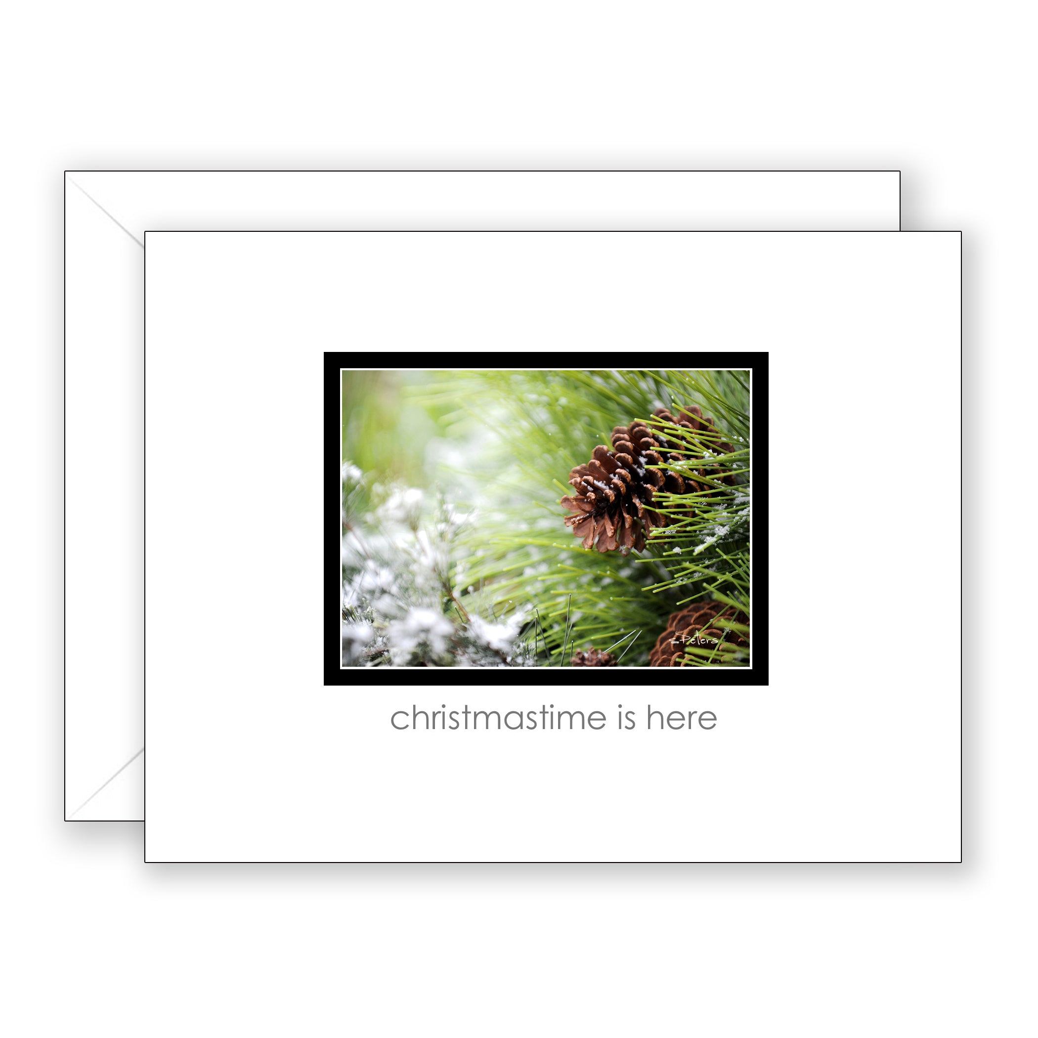 Snowdust Pine - Christmas Card