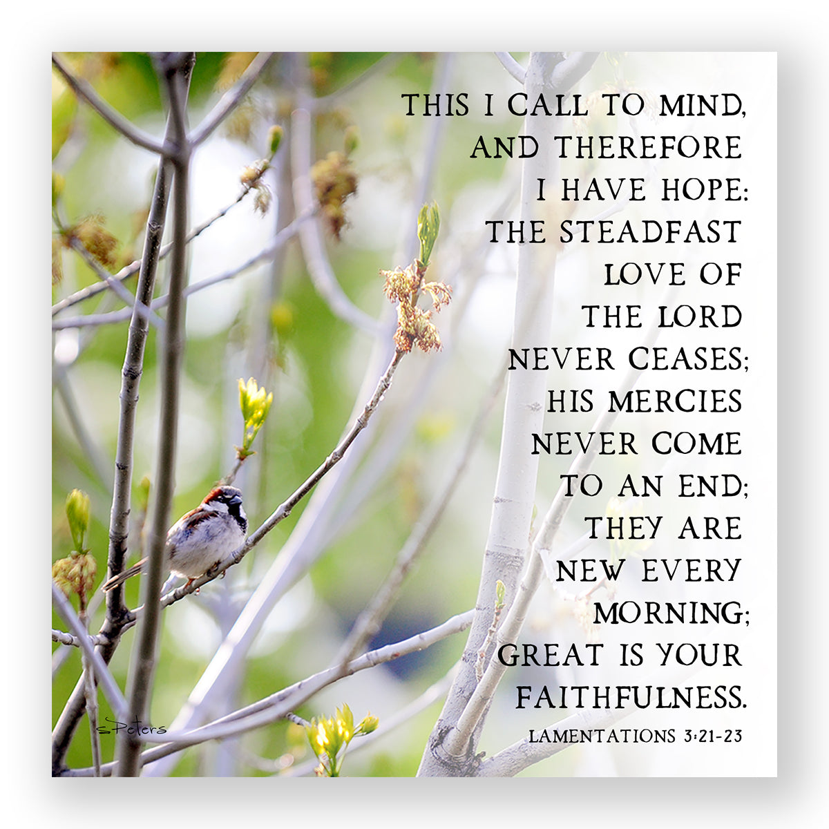 Spring Prayer (Lamentations 3:21-23) - Mini Print