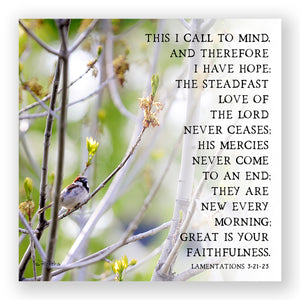 Spring Prayer (Lamentations 3:21-23) - Frameable Print