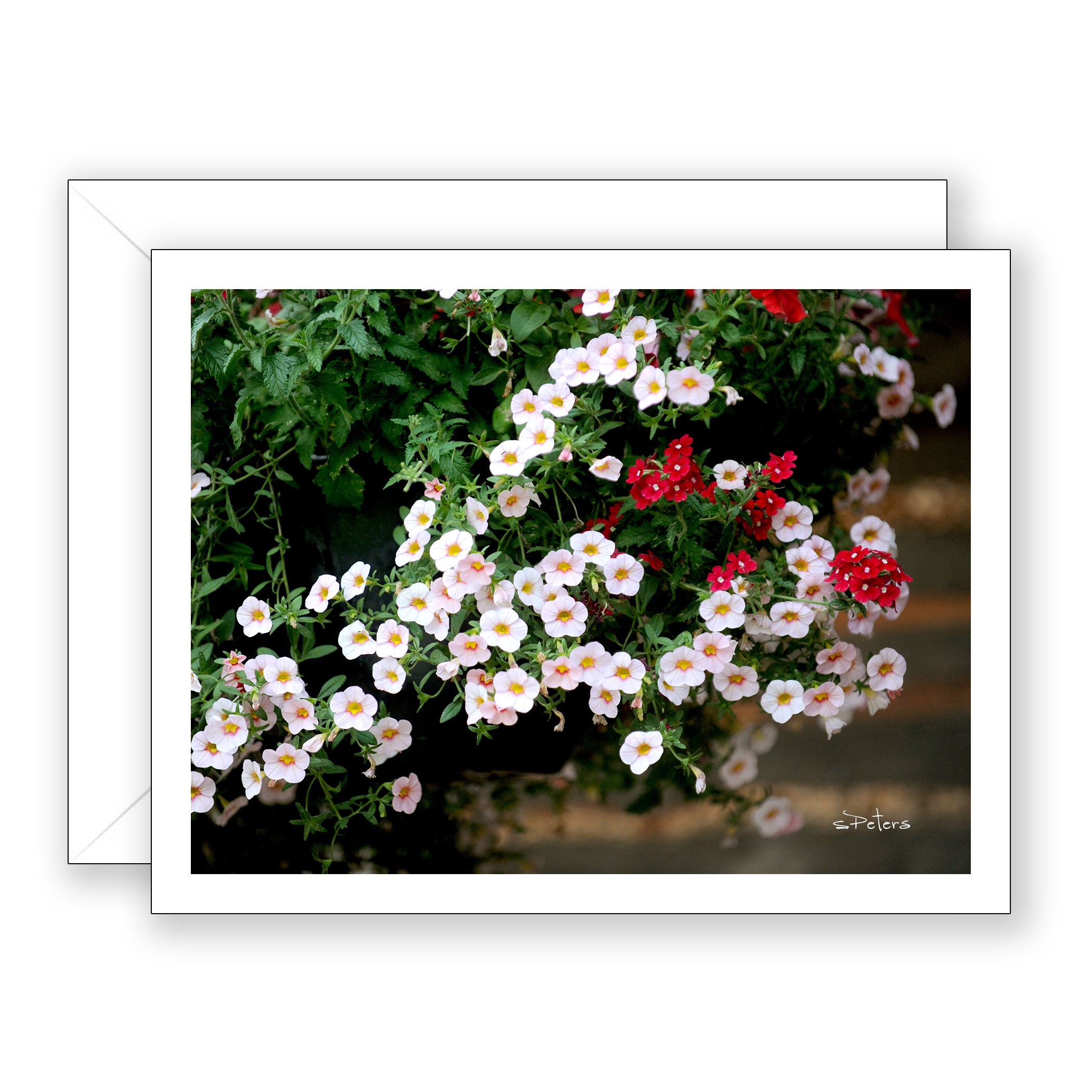 Summer Sweetness Blank Notecard