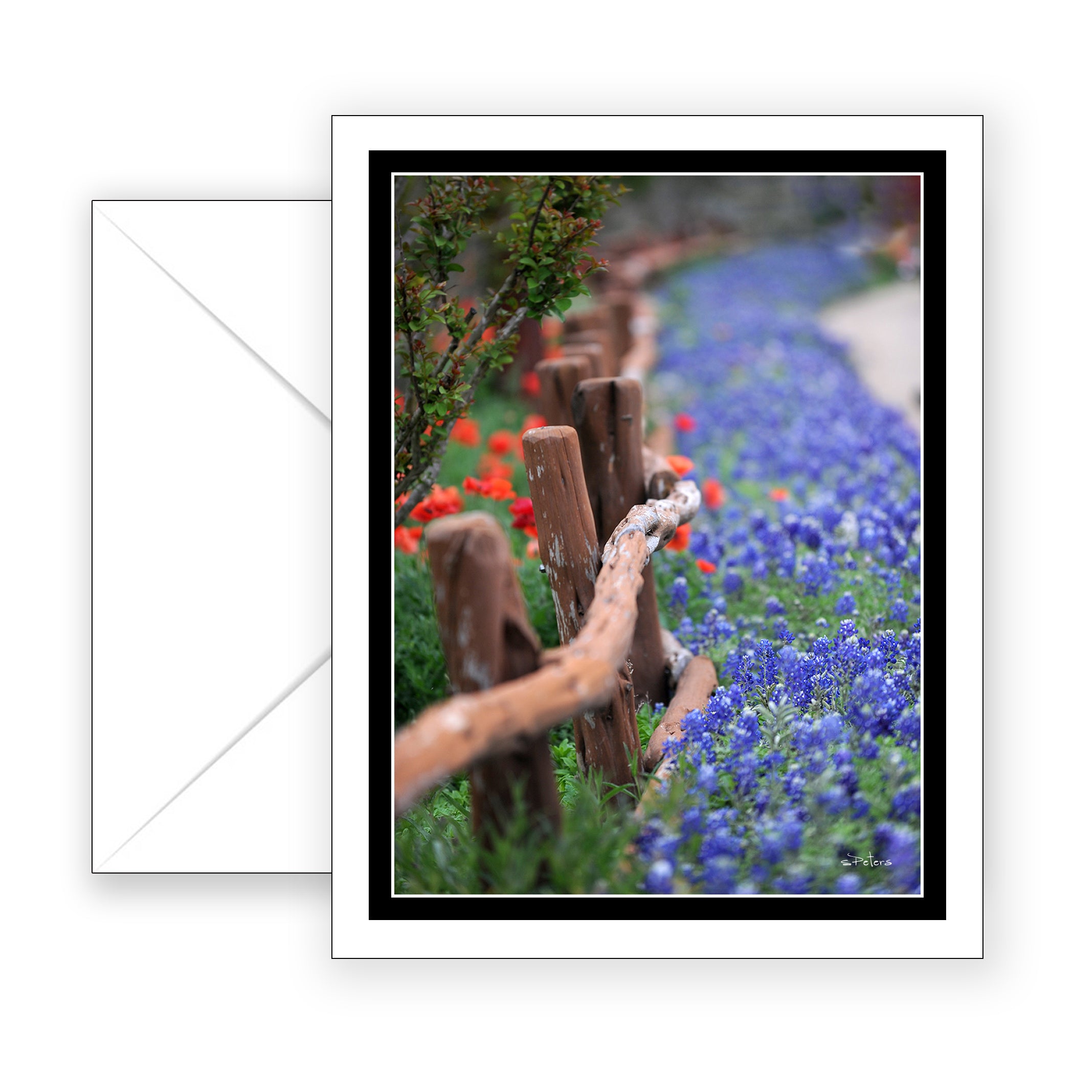 Texas Trail - Blank Art Card