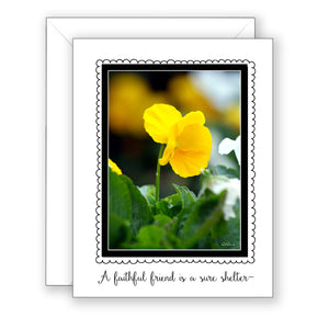 Yellow Pansy (Ecclesiasticus 6:12) - Friendship Card